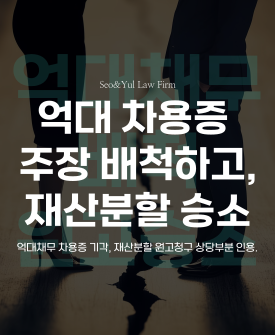재산분할 중 억대채무 주장 배척하고 승소