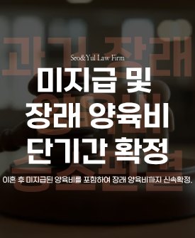 양육비 판결 단기간 확정 사례